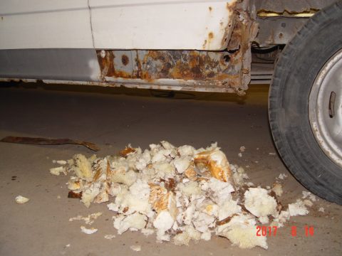 Ford Transit 2001.long — 41