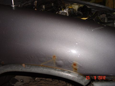 Nissan Terrano 2 1994 — 14