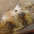 kÃ¼ljeukse ja kereparandus 084