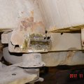 DSC09537