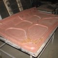 IMG_4518