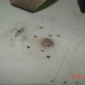 DSC05608