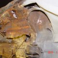 DSC05166