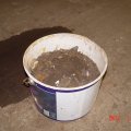 DSC05229