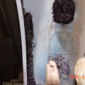 DSC03764