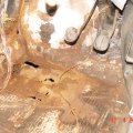DSC02239