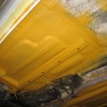 IMG_4373